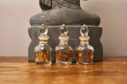 CAM ŞİŞE İKİLİ 6X2.5 BTL-28